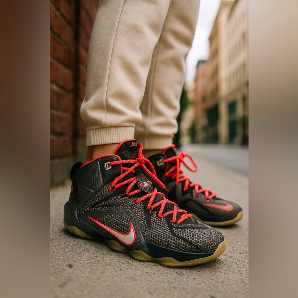 Nike Men’s Lebron 12 Court Vision Size 12
